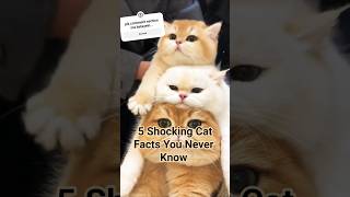 😲🐾 5 Shocking Cat Facts You Never Know! #shortsfeed #shorts #viral #cute #CatFacts #AmazingCats #yt