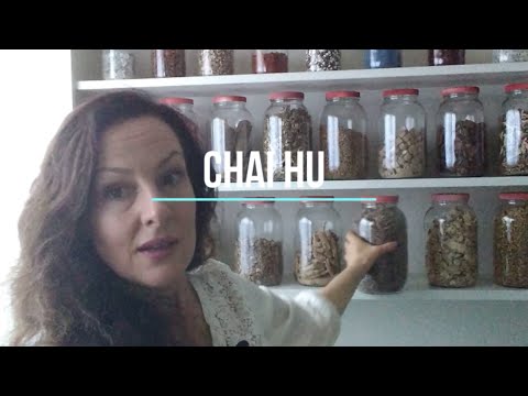 🌿 Extremely Stressed Out? Chai Hu herbal medicinal tea treats stress  #Shorts #StressRelief #Herbs