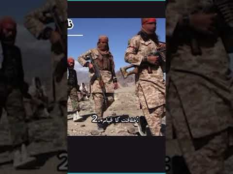 #news #pakistan #facts #terorism #history #atomic #duet #tehreeklabbaikpakistan #afghanistan