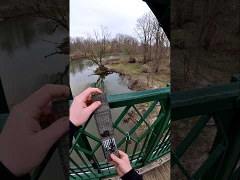 All My Homies Hate Love Locks 😤 #lockpicking #covertinstruments