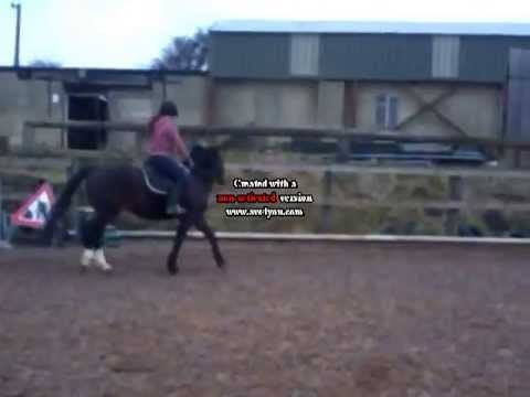 HORSEY STYLE!