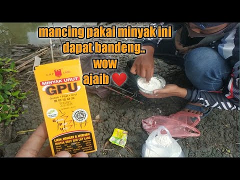 Mancing Nila pakai Essen minyak GPU malah dapat babon bandeng liar..|| kok bisa..??!