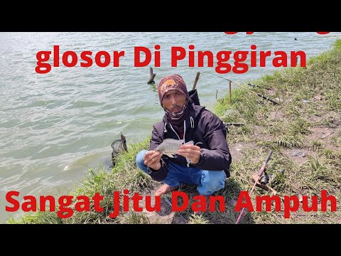 Tehnik mancing jaring Dasaran glosor sekali tebar jaring Dobel strike 2 ikan