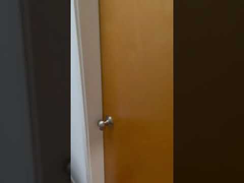 Waking up with moo-box part 1