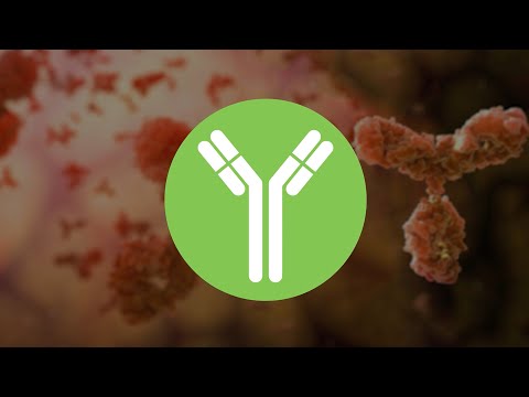 Antibody Characterization (Scientific Standards Hub)