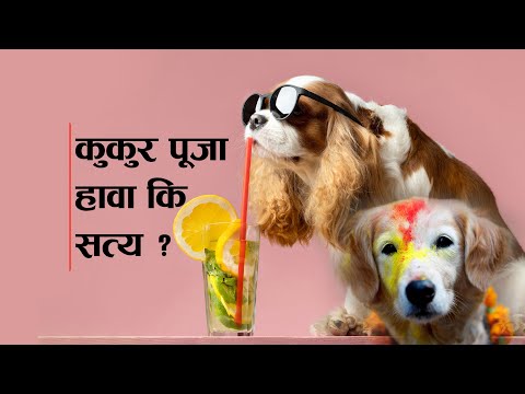 कुकुर पूजा- हावा कि सत्य ? ।। Nepal Talks ।। Kukur Puja