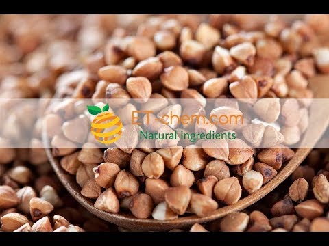 Buckwheat extract, Rutin , Fagopyrum tataricum,Tartary buck wheat flavones,benefits, production 2018