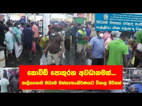 පැලියගොඩින් තවත් කොවිඩ් පොකුරක අවධනමක් (මත්ස්‍ය වෙළද සංකීර්ණයට විශාල පිරිසක්)