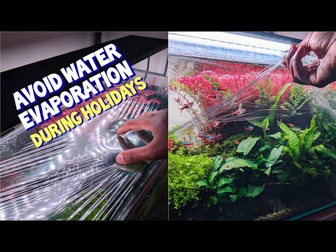 A simple trick to avoid water evaporation for an lidless aquarium, when you're on a vacation. 