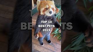 TOP 10 BEST PETS! #top10 #animals #cutepets #pets #cuteanimals #cute #top10list #bestpets #petlover