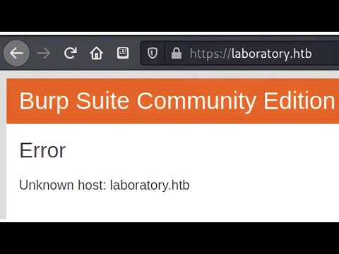 How to fix an unknown host on burpsuite