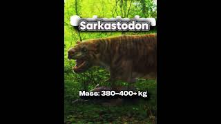 Top biggest land mammalian hypercarnivores #animals #mammals #lion #tiger #prehistoric #shorts #edit