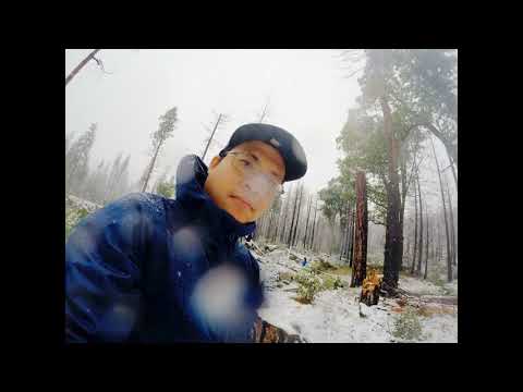 Yosemite Road Trip 2019