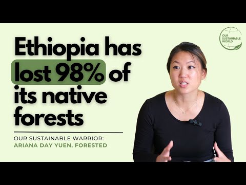 How Regenerative Agriculture Will Save Our Forests | Our Sustainable Warriors x Ariana Day Yuen