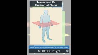 CPC Mastery Insight: Unveiling Coding Excellence Daily #cpt#icd#cpcexams#medicalcoding#aapc#viral