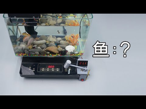 雨太冷？做一个鱼缸火锅？是保暖器！