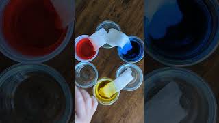 Magic Walking Water Experiment