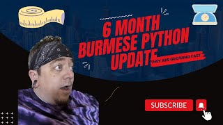 Jaw-dropping Burmese Python growth in just 6 months!