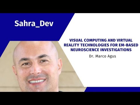 Visual Computing and Virtual Reality Technologies for EM-Based Neuroscience Investigations