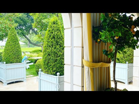 The Potted Boxwood: Beyond The Curb home tour with Dunbar Road Design