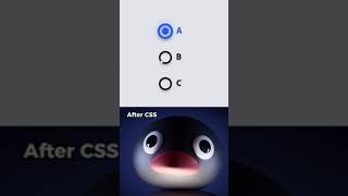 Before & After: Stunning CSS Transformations! ✨💻 #shorts
