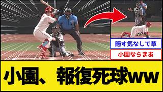 [What did I even do?!] Kozono hit by intentional pitch lol [Hiroshima Toyo Carp vs. Hanshin Tiger...