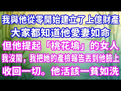 我與他從零開始建立了上億財產，大家都知道他愛妻如命。但他提起「桃花塢」的女人。我沒鬧，我把她的產檢報告丟到他臉上，收回一切。他活該一貧如洗。#家庭故事