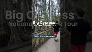 Explore Florida’s Wonders with Shaka Guide’s 5-Tour Audio Bundle! 🚗🎧
