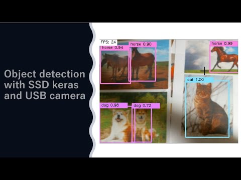 Object detection with SSD keras and a USB camera
