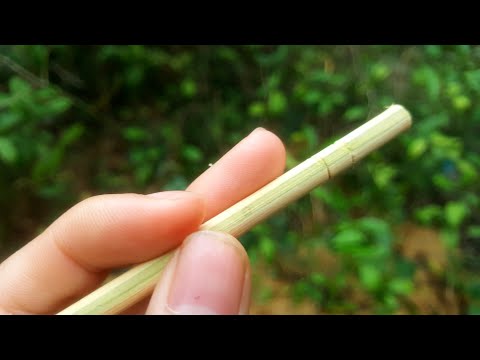 Gift Ideas with Bamboo Chopsticks || Bamboo stick craft ideas