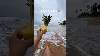 Sri Lanka🧡 #vacationmode#islandlife#traveling#summertime#beachvibes#oceanview#srilanka#trip#beach