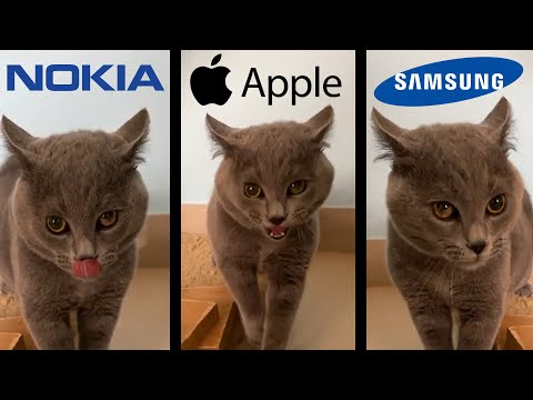 Alugalug Cat but famous phone ringtones