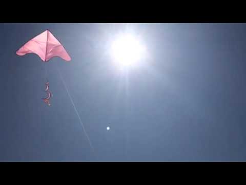 Kite Flying on Cannon Beach