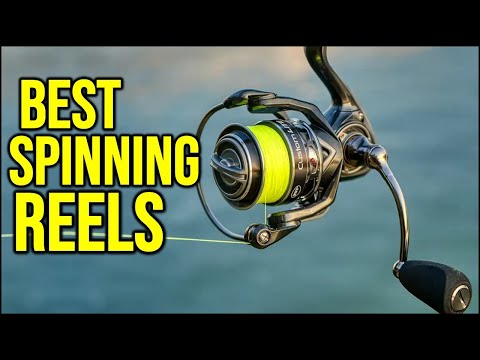 BEST Spinning Reels in [2025 ] Top 5