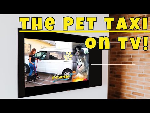 Pet Taxi® drivers take dogs to the vet for disabled and busy pet owners on To The Rescue TV