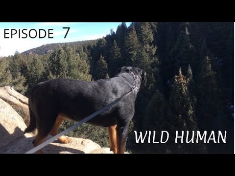 Episode 7, Wild Human