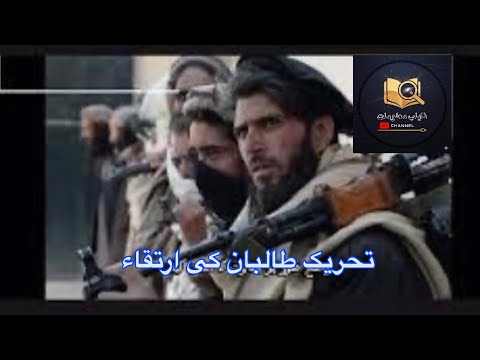How Tehreek Taliban Emerge? تحریک طالبان کا ارتقاء کیسے ہوا؟