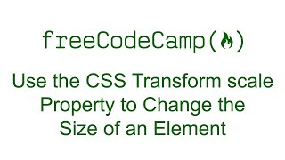 Use the CSS Transform scale Property to Change the Size of an Element
