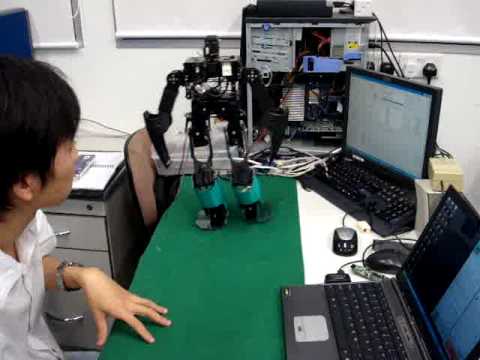 ARICC Kidsize Humanoid Testing v1.6