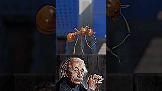 Sigma physics teacher ☠️ Albert Einstein's #einstein #shorts #tending #physics #sigmaphysics