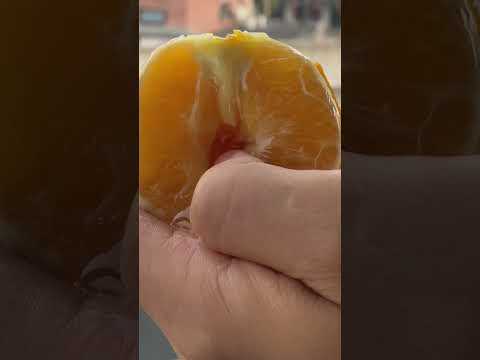 The History of Lubricants: From Then to Now 🕰️#lubricanthistory #selfcaretips #intimacy