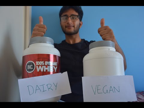 Why Protein Powders are Popular and How they can help You