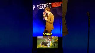 Audience member loves Corgis a bit too much… #freestyle #freestylerap #comedy #corgis