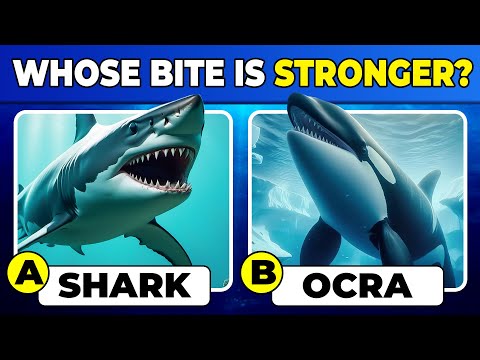 Sea Animals Quiz with Answers | How Well Do You Know Marine Animals? | General Knowledge Trivia 🦈🐳🌊