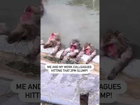 We all know that dreaded feeling of hitting the afternoon slump — www.easypeasybusiness.com