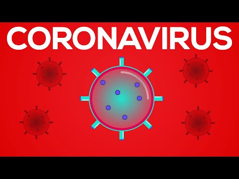 COVID 19 (This Animation was made at the beginning of the Pandemic)