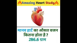 Amazing Elephant Study in Hindi language knowledge video #studyknowledge