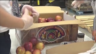Walmart business, philanthropy come together to help fight hunger