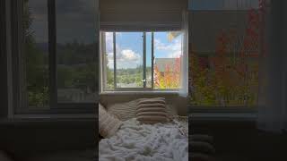 #aesthetic #bedroomdecor #bedroom #room #pinterestaesthetic #cozy #cozybedroom #aestheticbedroom