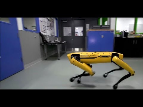Hey Buddy, Can You Give Me a Hand